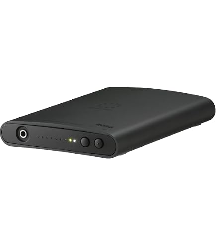 Amazon.co.jp: KORG 1bit USB DAコンバータ DS-DAC-10 : 家電＆カメラ