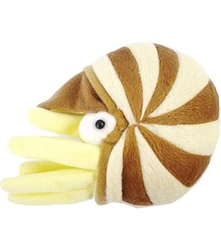 Amazon.co.jp: 生きた化石シリーズ オウムガイ ぬいぐるみ 6263