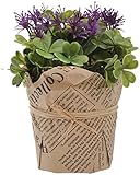 Boston International Flower Stand Clover Leaf, Purple, Small [並行輸入品]