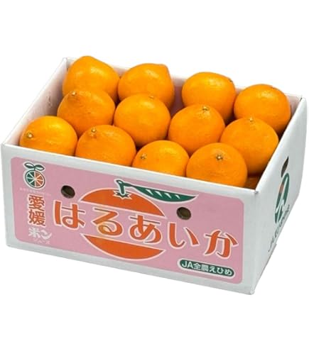 紅プリンセス みかん Lサイズ 5kg 新品種「紅プリンセス（品種：愛媛果試第48号）」愛媛県産 柑橘 M〜4L