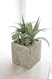 COVENT GARDEN（コベントガーデン） サキュレントポット・アガベ 造花 人工観葉植物 VU-01 【まとめ買い×4セット】