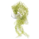 GREENPARK スパニッシュモス ガラストラぺゾイド 白玉石 造花 フェイクグリーン