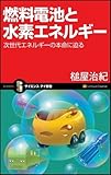 燃料電池と水素エネルギー 次世代エネルギーの本命に迫る （サイエンス･アイ新書）