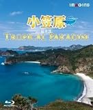 ���}��[���y��] -Tropical Paradise-