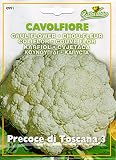 HORTUS カリフラワー・トスカーナ３ 野菜 2g