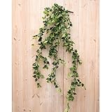 POSH LIVING(ポッシュリビング) ポトス ポトス フェイクグリーン イミテーショングリーン 造花 80865