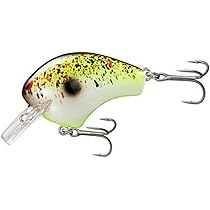 51JkHE8bwGL._AC_UL210_SR210,