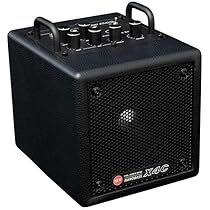 PHIL JONES BASS NANOBASS X4C ＆ 専用キャリーバッグ 735226-01.jpg