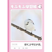 51JkI2F1ZiL._AC_UL210_SR210,