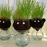 hair LABO（ヘアーラボ）アニマル・ドッグ[プレゼントに人気・動物の頭から芝が生える！] ノーブランド品