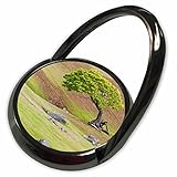 3drose Danita Delimont – ジェインズ・ギャラリー – Trees – アメリカ、ワシントン、San Juan諸島。Mapleツリー風景、Spieden島。 – 電話リング( P
