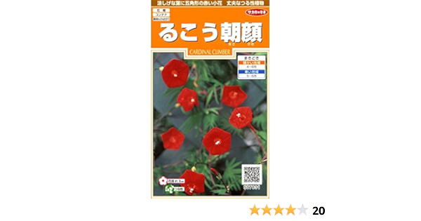 Amazon サカタのタネ 実咲花71 るこう朝顔 花