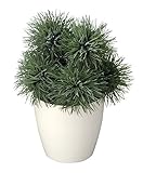 造花アート・観葉植物　アザミプラント＜ 移転祝い 落成祝い 竣工祝いに ＞