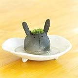 苔盆栽 モスモス モスウサギ（黒・グレー系）・ 受け皿（白・ベージュ系）セット