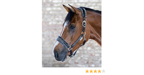 在庫限り！ 乗馬用品 馬 無口 リードロープ バーガンディ ボア ファー