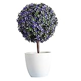 Baoblaze 人工植物　生き生き　花盆栽　鉢植え　美化　マイクロ風景　家庭　オフィス　　装飾品　全4色 - 紫