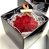 Reve カーネーションのプリザーブドフラワー box入り〔1輪〕 母の日ギフト