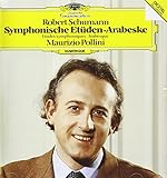 �V���[�}��:�����I���K�ȁA�A���x�X�N