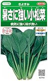 サカタのタネ 実咲野菜2700 暑さに強い小松菜 きよすみ 00922700