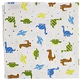 Imagine Baby Products Flat Diapers, Rawr by Imagine Baby Products