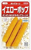 【種子】ポップコーン イエローポップ 20ml