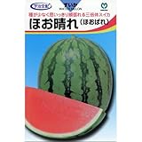 スイカ 種 【 ほお晴れ 】 種子 小袋（約8粒）