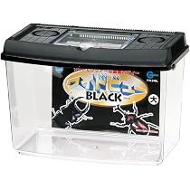 51Joi3lpG5L._AC_UL210_SR210,