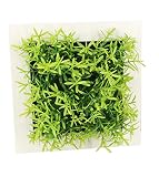 Mille Ti Rana 壁に掛けれる インテリア グリーン 造花 観葉植物 多肉植物 ３D アート フラワー … (緑2)