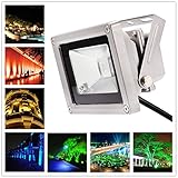 RaiFu LED投光器 10W 防水 RGB 16色 変光 リモコン付き AC85-​​265V ホテル 庭風景 美化