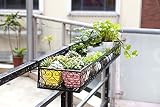 ガーデニングスタンド　壁面取付 アイアン製 プランター 鉢植えラック 花 植物 壁掛け　ガーデニング棚 (くろい)