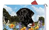Black Labrador – Best of Breed Dog Breedメールボックスカバー