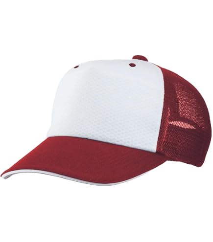 Amazon.co.jp: MIZUNO(ミズノ) 2019年限定ALL JAPANキャップ テニス
