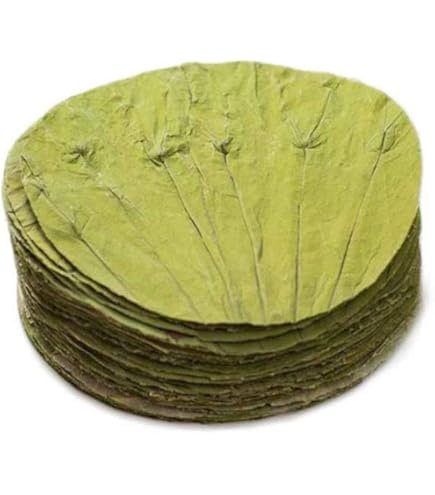 Amazon.co.jp: Maya Star 100個 天然原料とアクセサリー 蓮の葉 自然