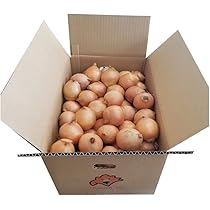 Amazon.co.jp: 随時発送中 訳あり 玉ねぎ 10kg 北海道 たまねぎ 10kg