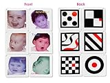 Black, White & Red Infant Stim Flashcards Set [並行輸入品]