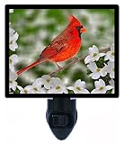 Night Light – オスNorthern Cardinal – Red Bird – 花LED Night Light