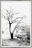 パステルBLK _ WHT by Harold Silverman – 木&古いフェンス 20.5"x13.5" 83891-36-17FUSA