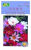 カネコ種苗 草花タネ233 コスモス シーシェル ミックス 10袋セット