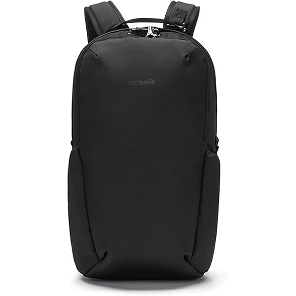 Amazon.co.jp: [パックセーフ] EXP35 トラベルバックパック 35L BLACK