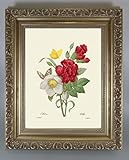 BiblioArt Series　P.J.ルドゥーテ 「クリスマスローズとカーネーション」 金縁額装品