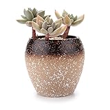 T4U 8.5CM 雪粒パターン 多肉植物、サボテン鉢 フラワーポット プランター容器 ブラウン