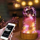 クリエイティブBluetoothオーディオWishing StreamerボトルLED常夜灯装飾ギフト Alician