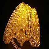 Direct-Lighting GRL-50-YEL Yellow 50ft LED Rope Light [並行輸入品]