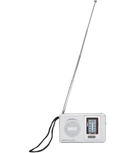 Amazon.co.jp: SONY FM/AM ポケッタブルラジオ R353 ICF-R353 : 家電