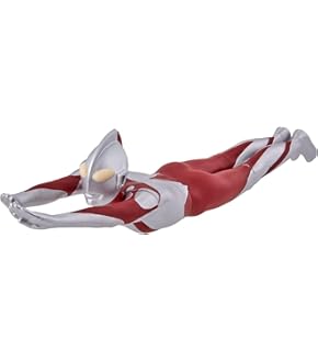 ムービーモンスターシリーズ ミャクミャク 2体セット 新品★ 楽天市場】[バンダイ(BANDAI)] EXPO2025開催記念 ムービー