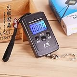 携帯はかり 電子デジタル 吊り はかり 計量器 クレーンスケール　吊り下げ式ラゲッジチェッカー スケール 0.6kgから40kgまで計量可能 メジャー 旅行 荷物 海外 空港 アウトドア/ホームに最適