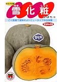 雪化粧 サカタのカボチャ種です