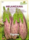 【HORTUS社種子】【Art.3661】イタリアンナス・Tigrina