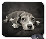 様々な子犬のマウスパッド：フォトパッド（世界の犬シリーズ） (D)