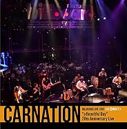 カーネーション『a Beautiful Day』発売20周年記念再現ライヴ BILLBOARD LIVE 2015